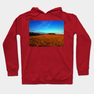 Retro Vintage Tumblr Countryside Landscape Hoodie